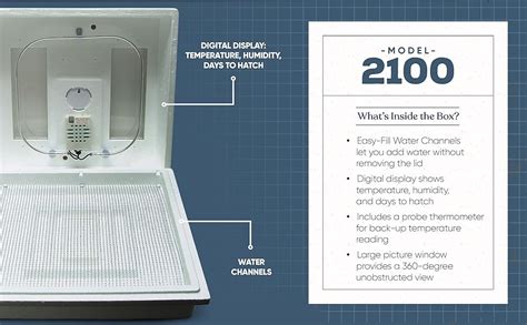 whitch way does air flow in rolex incubator|still air incubator meaning.